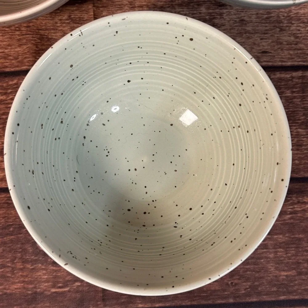 Sango Siterra Artist's Blend Speckled Soup Cereal Stoneware Bowls Set of 3 6